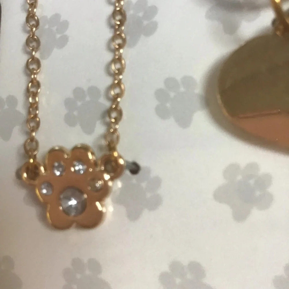 Pet & Me Gold Pawprint‎ Necklace & Collar Charm Set NWT